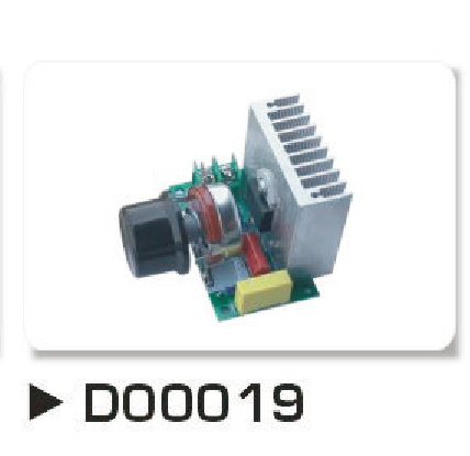D00019